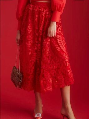 Red Tulle embroidered skirt